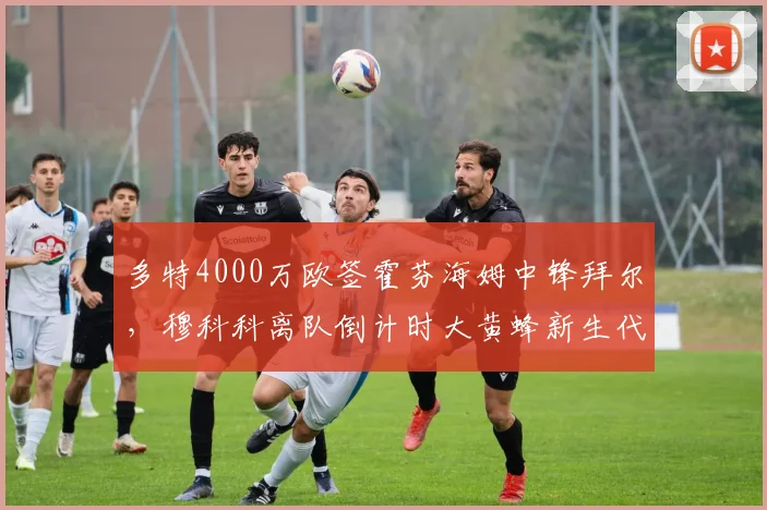 多特4000万欧签霍芬海姆中锋拜尔，穆科科离队倒计时大黄蜂新生代锋线重洗牌